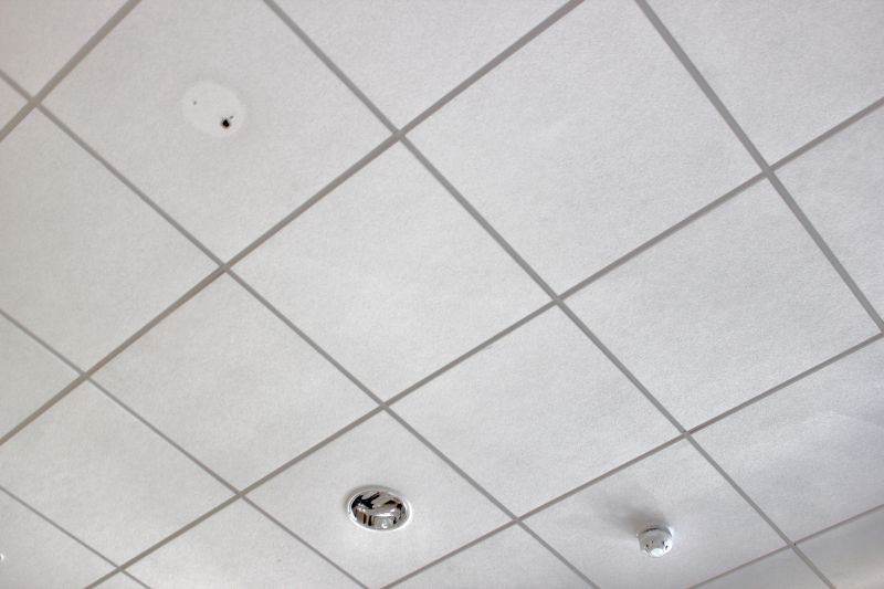 Ceiling Tile Replacement