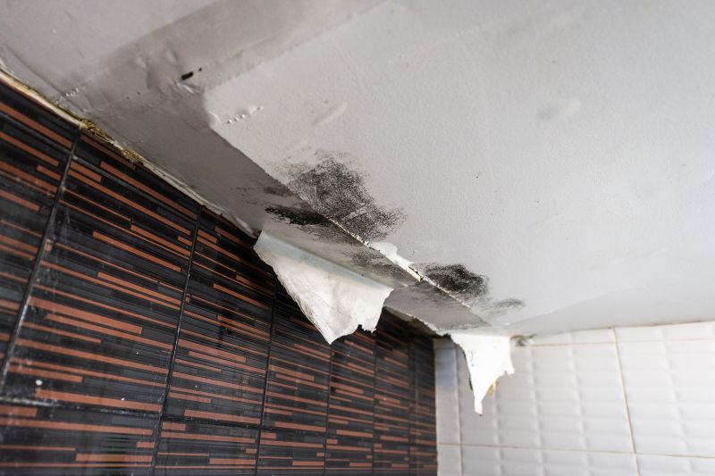 Damaged Ceiling Tiles